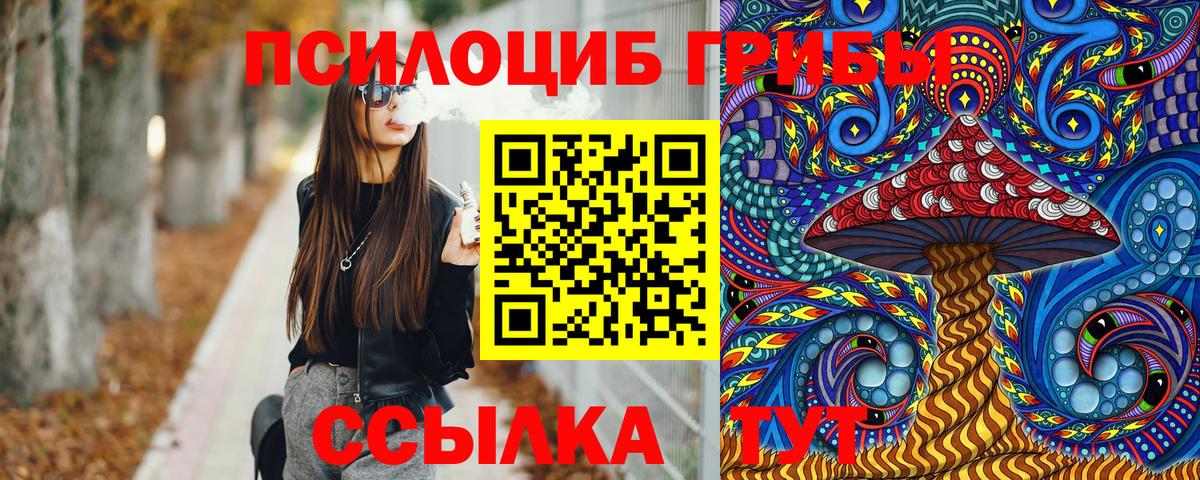 Псилоцибиновые грибы Psilocybe Мичуринск