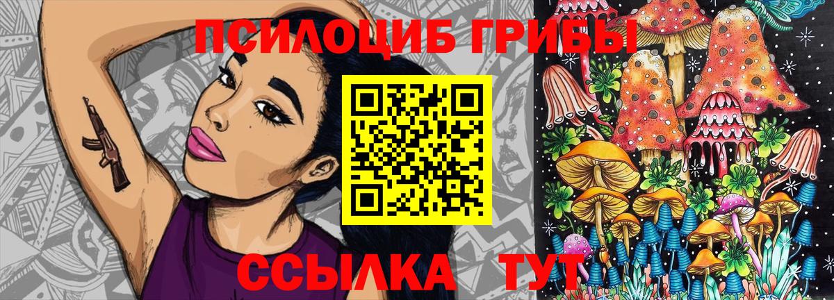 Псилоцибиновые грибы GOLDEN TEACHER  Псилоцибиновые грибы ЛСД  Вход с VPN  Мичуринск 